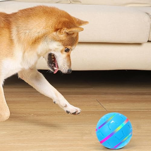 Dog Toy Ball, Interactive Dog Toy, USB Rechargeable with LED Lights, Indoor Vibrating Games, Active for Small Medium Large Breeds