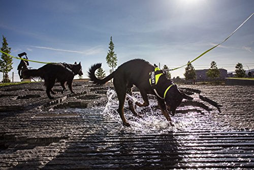 JULIUS-K9 JULIUS-K9 IDC Harness, 0/M-L, 58-76cm/40mm, Camouflage, Dog