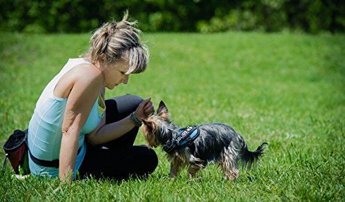 JULIUS-K9 JULIUS-K9 IDC Harness, 0/M-L, 58-76cm/40mm, Camouflage, Dog