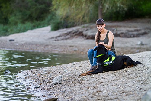 JULIUS-K9 JULIUS-K9 IDC Harness, 0/M-L, 58-76cm/40mm, Camouflage, Dog