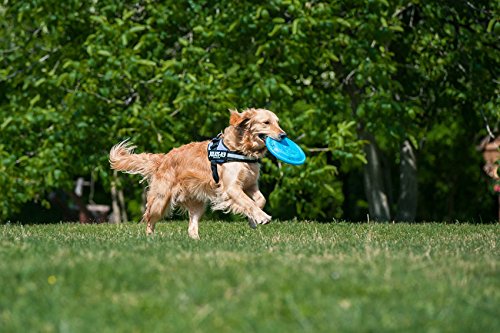 JULIUS-K9 JULIUS-K9 IDC Harness, 0/M-L, 58-76cm/40mm, Camouflage, Dog