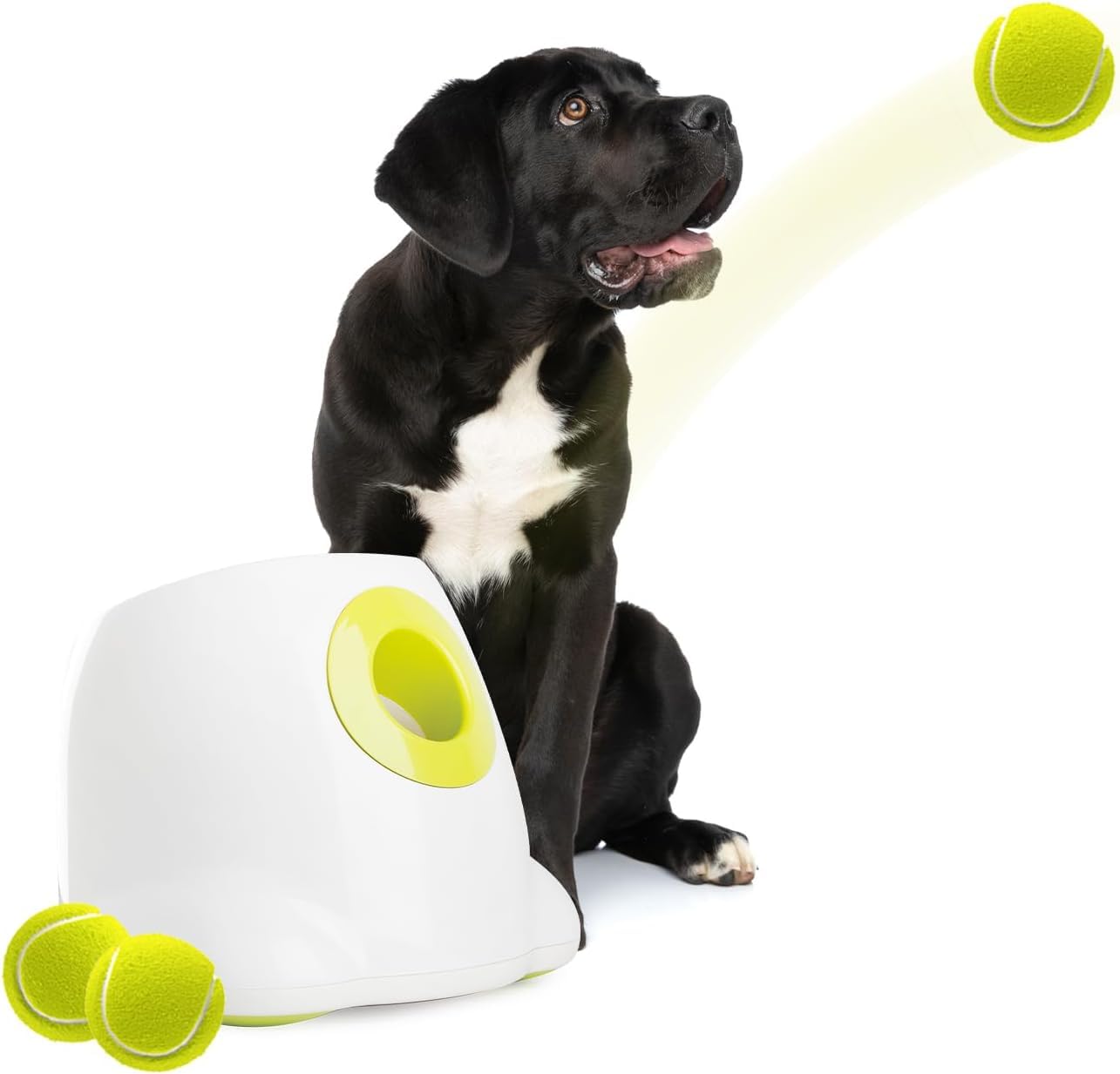 ALL FOR PAWS Automatic Ball Launcher for Dogs - Interactive Ball Throwing Machine with 3 2" Tennis Balls Included, for Small and Medium Dogs, Interactive Dog Toy