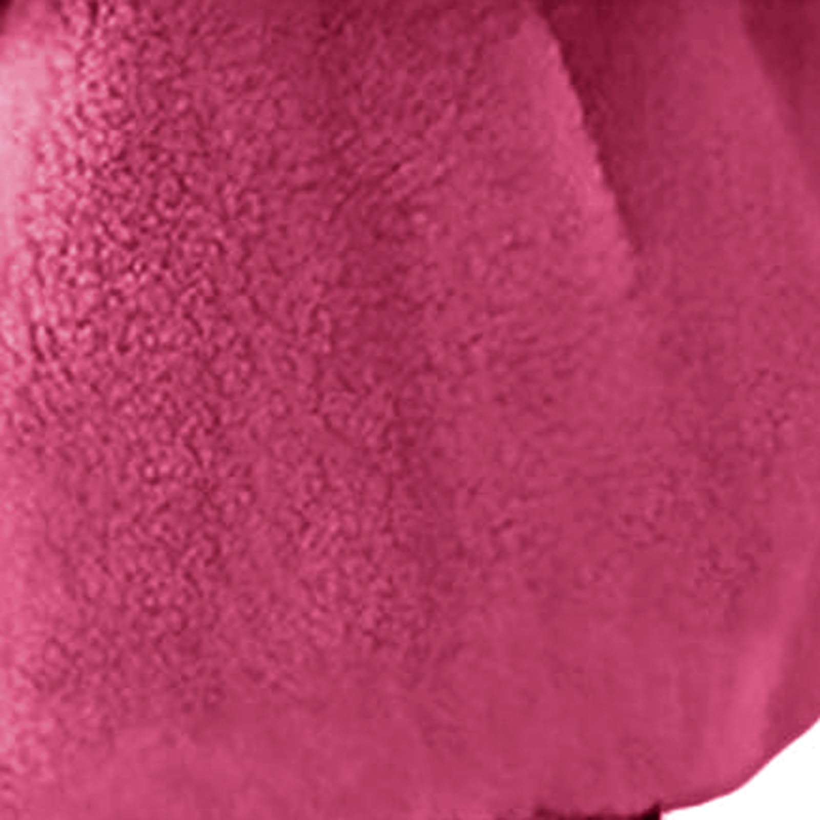 Women's Winter Fleece Jacket Winter Plus Size Transition Jacket with Hood Thermal Parka Hoodie Elegant Clothes