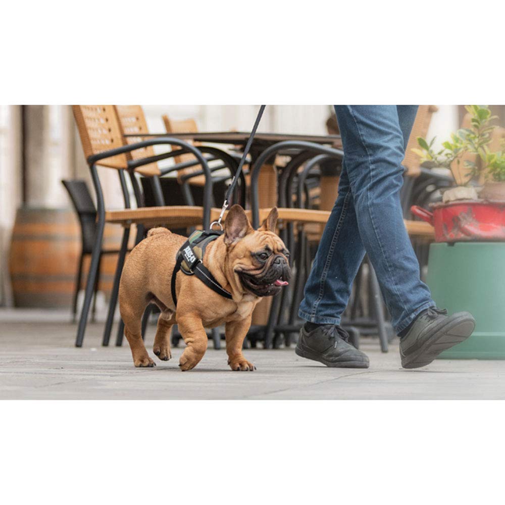 JULIUS-K9 JULIUS-K9 IDC Harness, 0/M-L, 58-76cm/40mm, Camouflage, Dog