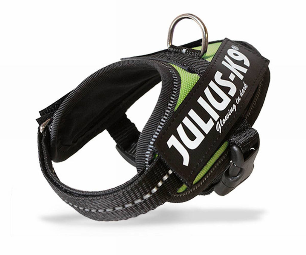 JULIUS-K9 JULIUS-K9 IDC Harness, 0/M-L, 58-76cm/40mm, Camouflage, Dog