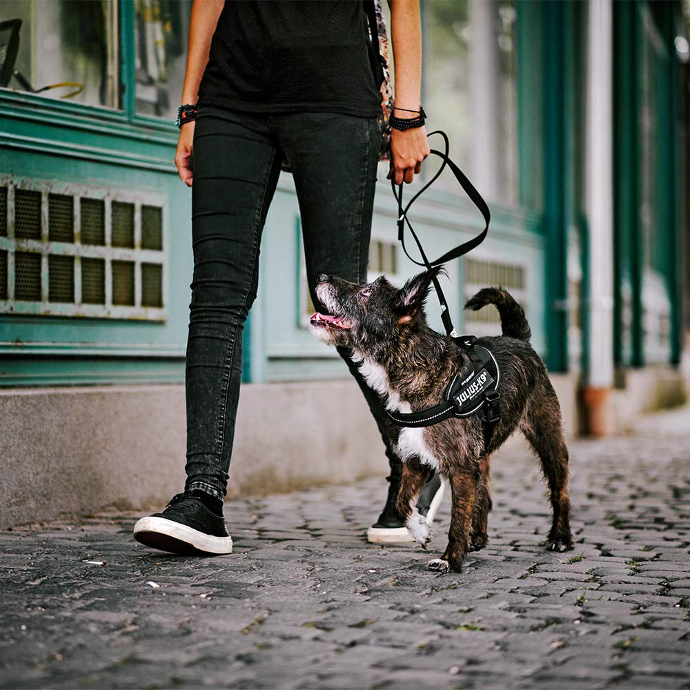 JULIUS-K9 JULIUS-K9 IDC Harness, 0/M-L, 58-76cm/40mm, Camouflage, Dog