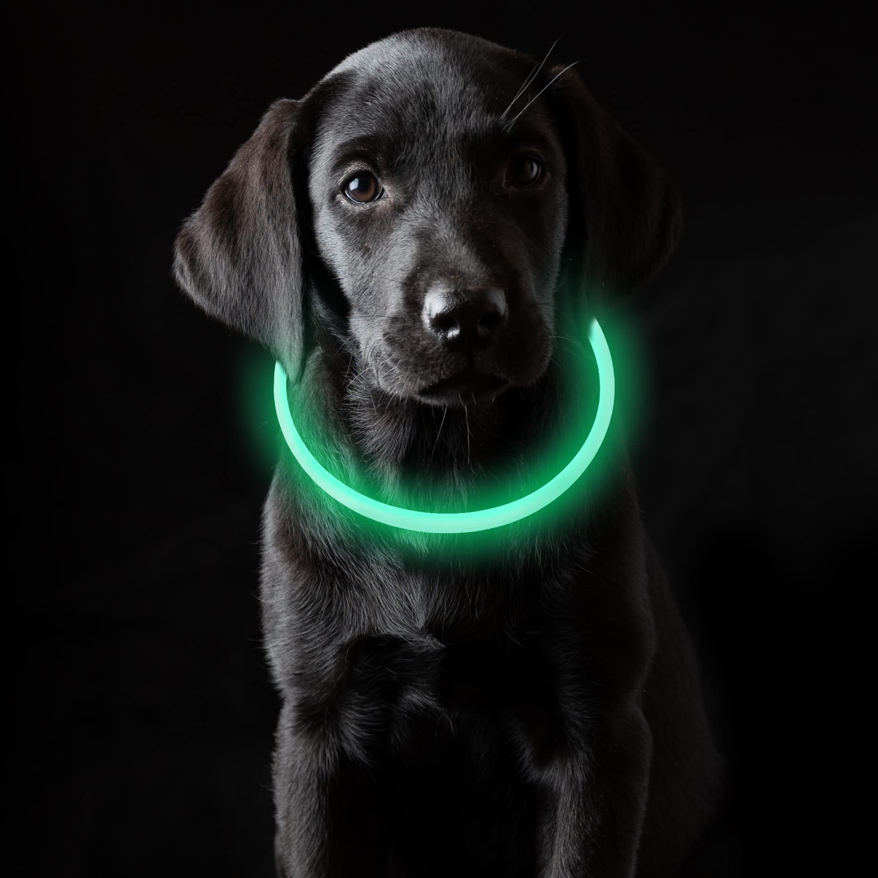 Coolzon Rechargeable and Waterproof Luminous Dog Collar with 3 Light Modes, Adjustable Length LED Collars for Dogs Cats Small Medium Large, Red