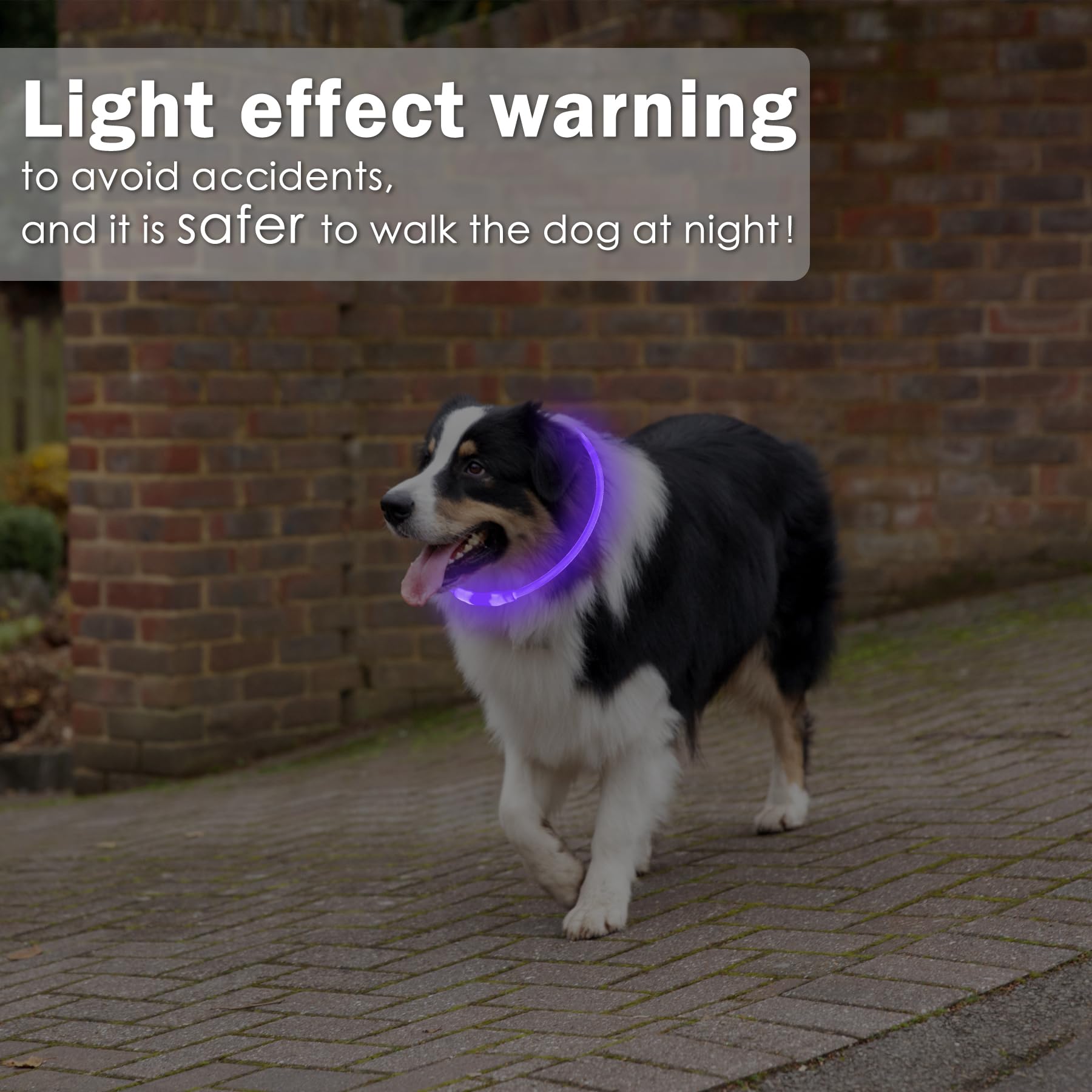 Coolzon Rechargeable and Waterproof Luminous Dog Collar with 3 Light Modes, Adjustable Length LED Collars for Dogs Cats Small Medium Large, Red