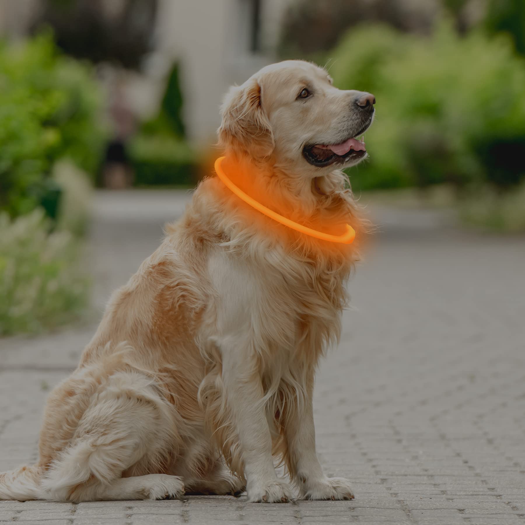 Coolzon Rechargeable and Waterproof Luminous Dog Collar with 3 Light Modes, Adjustable Length LED Collars for Dogs Cats Small Medium Large, Red