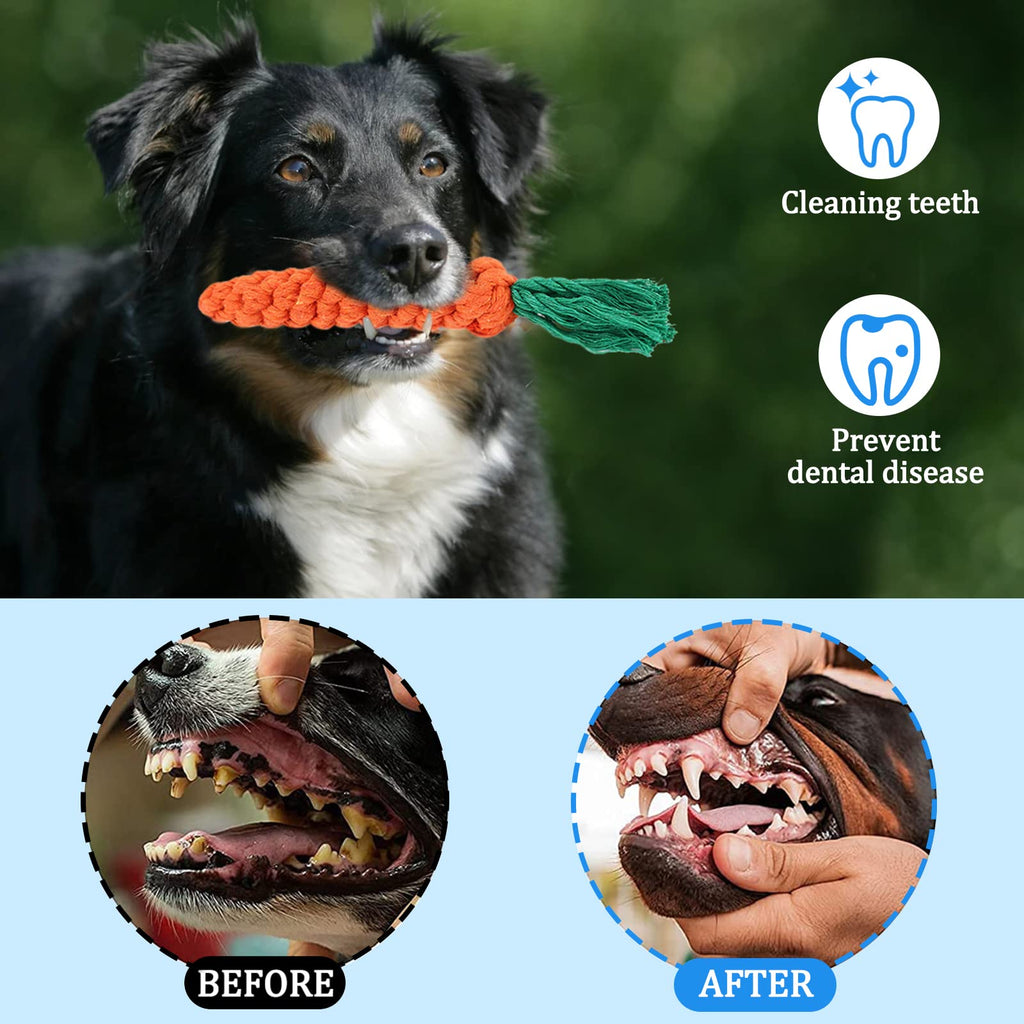 Toys for Dogs, Interactive Toys Set of 15 Pieces Toy for Dogs, Ecological, Safe and Durable Dog Toy, Can Be Used to Clean the Teeth of Dogs