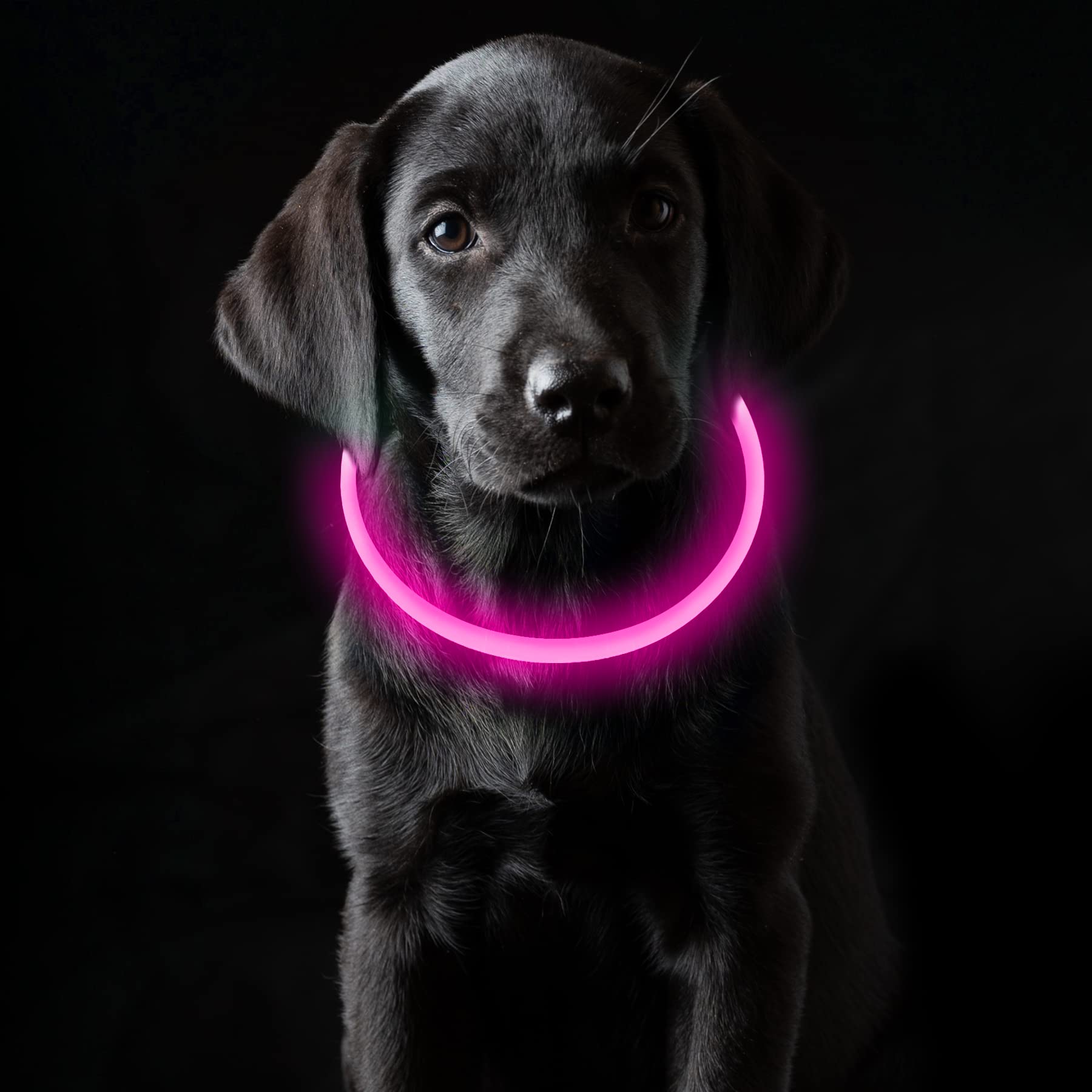 Coolzon Rechargeable and Waterproof Luminous Dog Collar with 3 Light Modes, Adjustable Length LED Collars for Dogs Cats Small Medium Large, Red