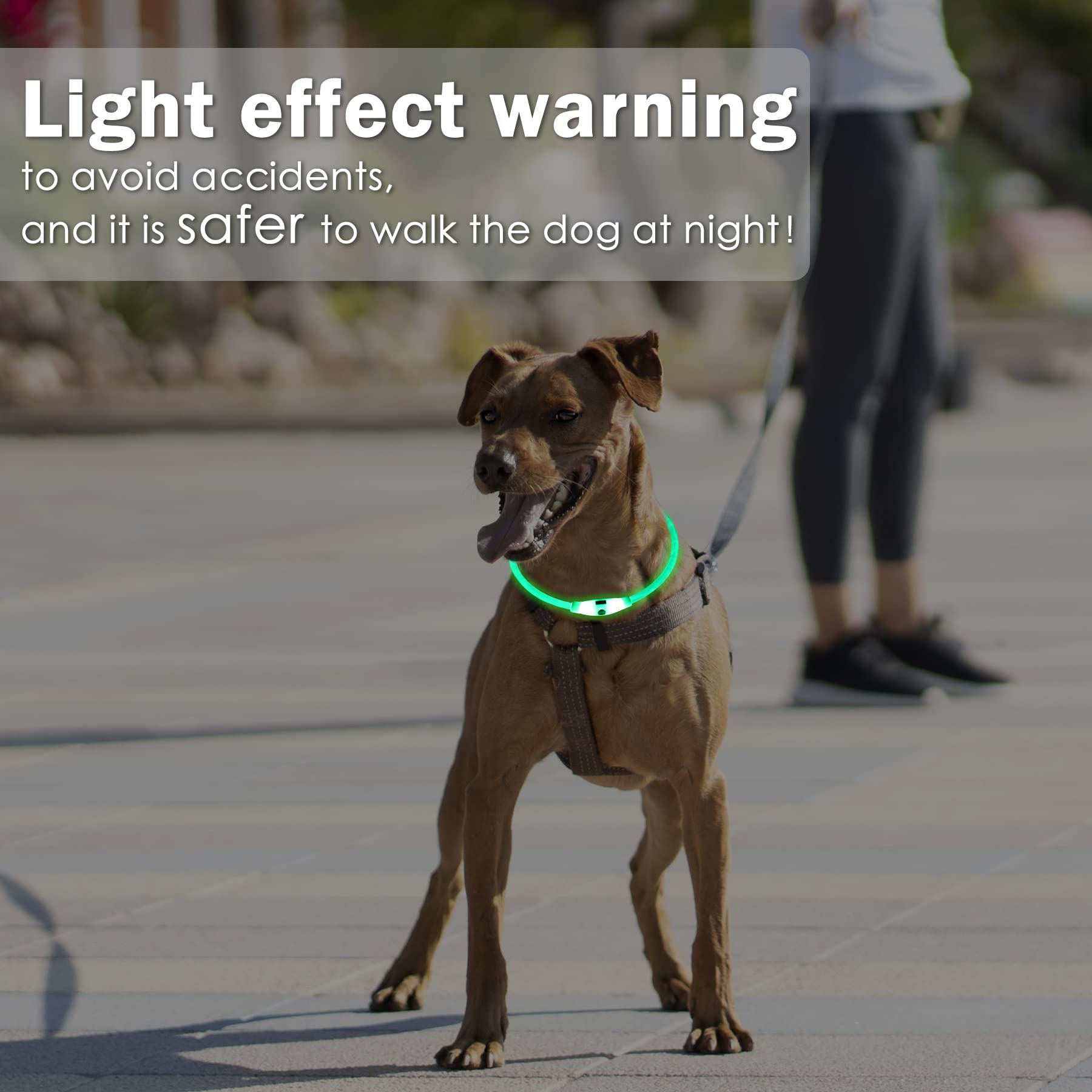 Coolzon Rechargeable and Waterproof Luminous Dog Collar with 3 Light Modes, Adjustable Length LED Collars for Dogs Cats Small Medium Large, Red