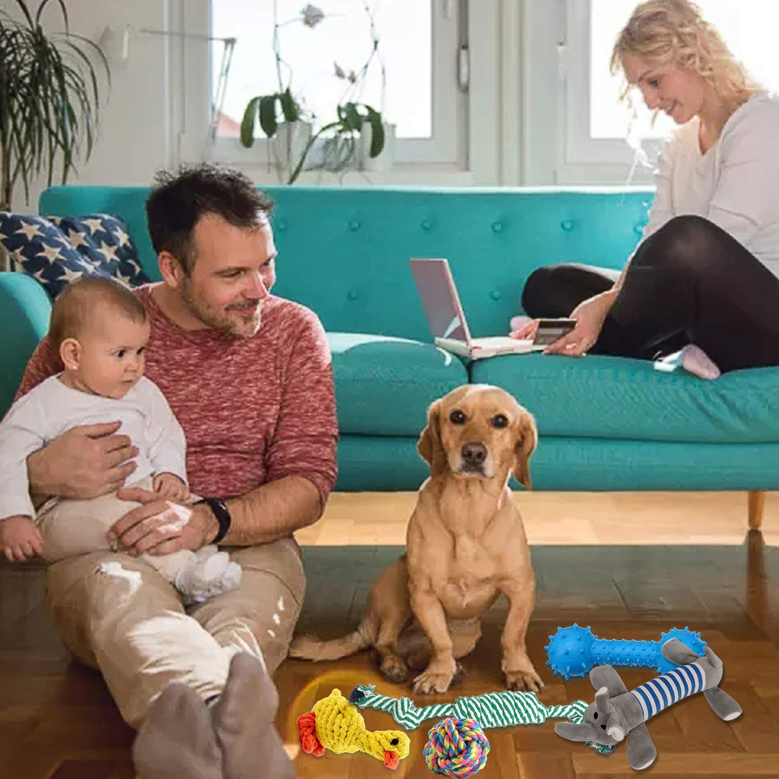 Toys for Dogs, Interactive Toys Set of 15 Pieces Toy for Dogs, Ecological, Safe and Durable Dog Toy, Can Be Used to Clean the Teeth of Dogs