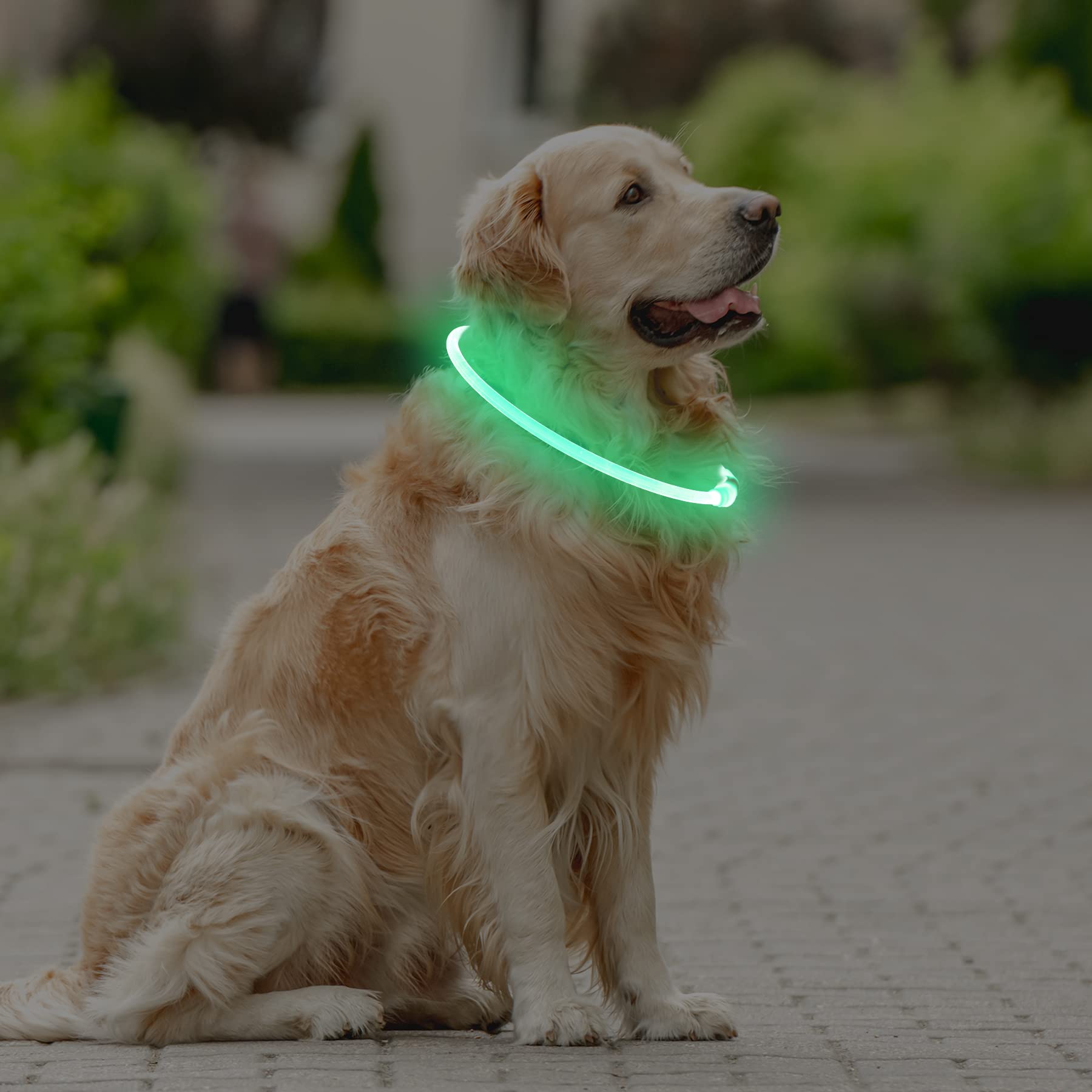 Coolzon Rechargeable and Waterproof Luminous Dog Collar with 3 Light Modes, Adjustable Length LED Collars for Dogs Cats Small Medium Large, Red