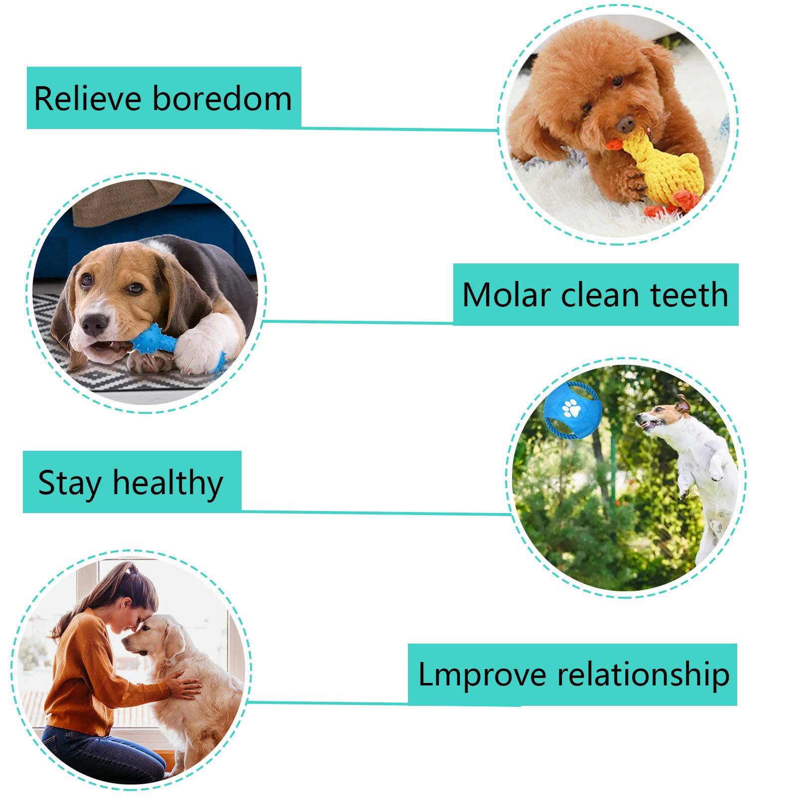 Toys for Dogs, Interactive Toys Set of 15 Pieces Toy for Dogs, Ecological, Safe and Durable Dog Toy, Can Be Used to Clean the Teeth of Dogs