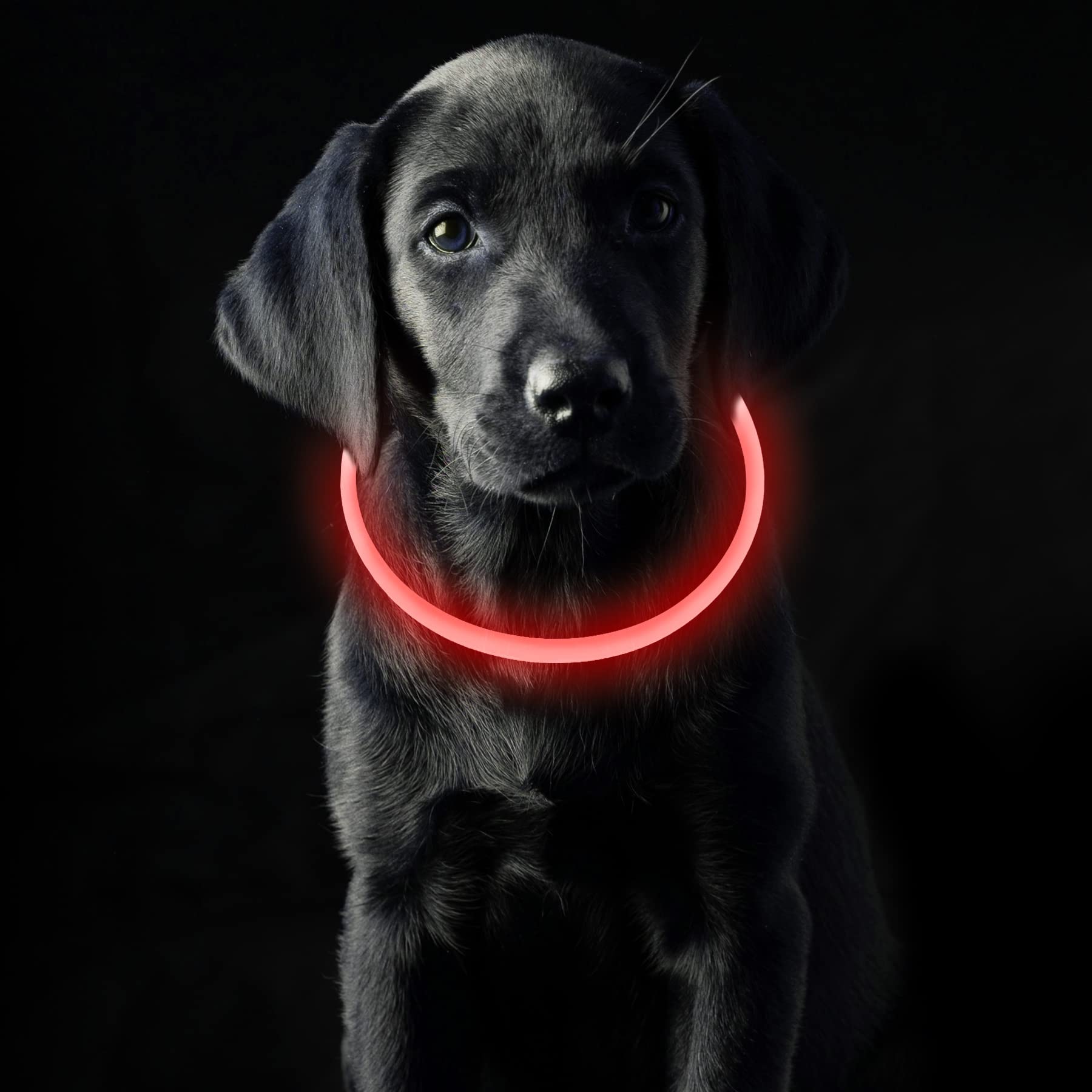 Coolzon Rechargeable and Waterproof Luminous Dog Collar with 3 Light Modes, Adjustable Length LED Collars for Dogs Cats Small Medium Large, Red