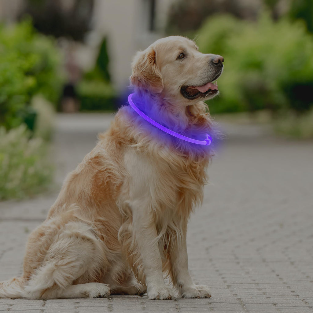 Coolzon Rechargeable and Waterproof Luminous Dog Collar with 3 Light Modes, Adjustable Length LED Collars for Dogs Cats Small Medium Large, Red