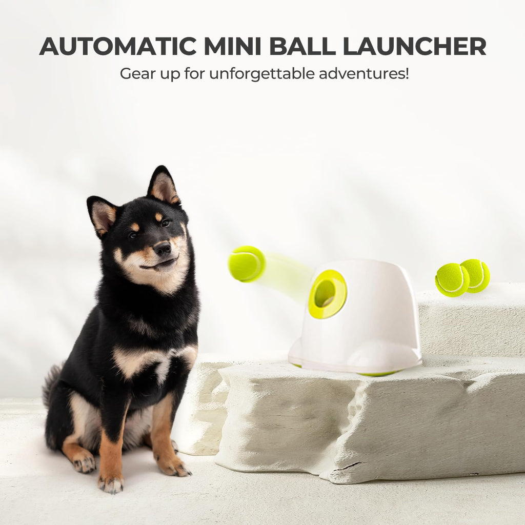 ALL FOR PAWS Automatic Ball Launcher for Dogs - Interactive Ball Throwing Machine with 3 2" Tennis Balls Included, for Small and Medium Dogs, Interactive Dog Toy