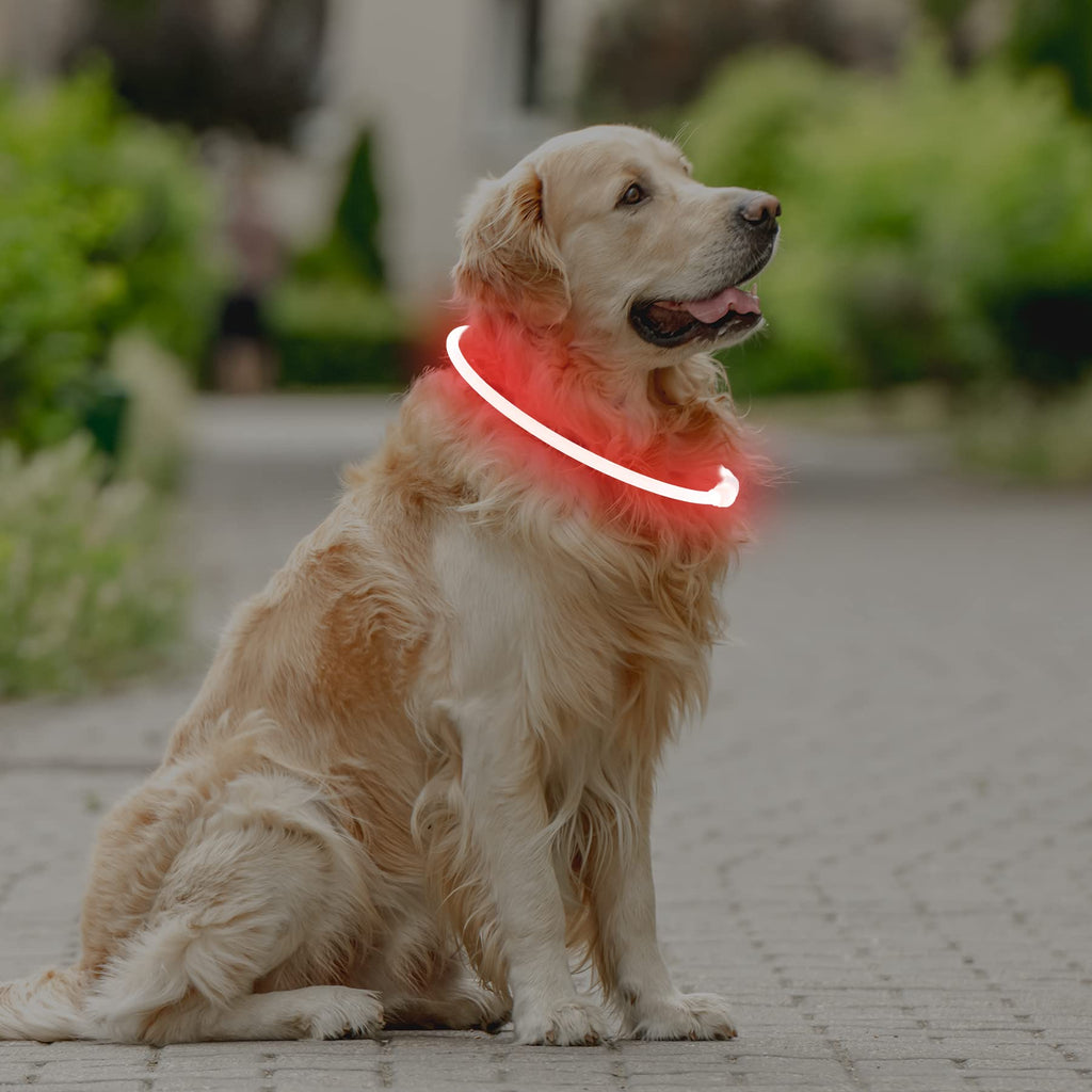 Coolzon Rechargeable and Waterproof Luminous Dog Collar with 3 Light Modes, Adjustable Length LED Collars for Dogs Cats Small Medium Large, Red