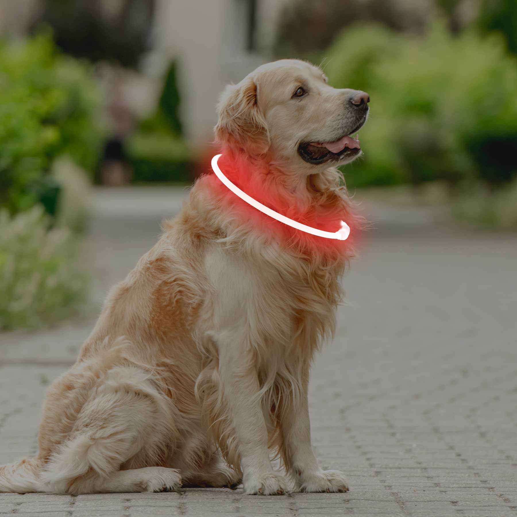 Coolzon Rechargeable and Waterproof Luminous Dog Collar with 3 Light Modes, Adjustable Length LED Collars for Dogs Cats Small Medium Large, Red