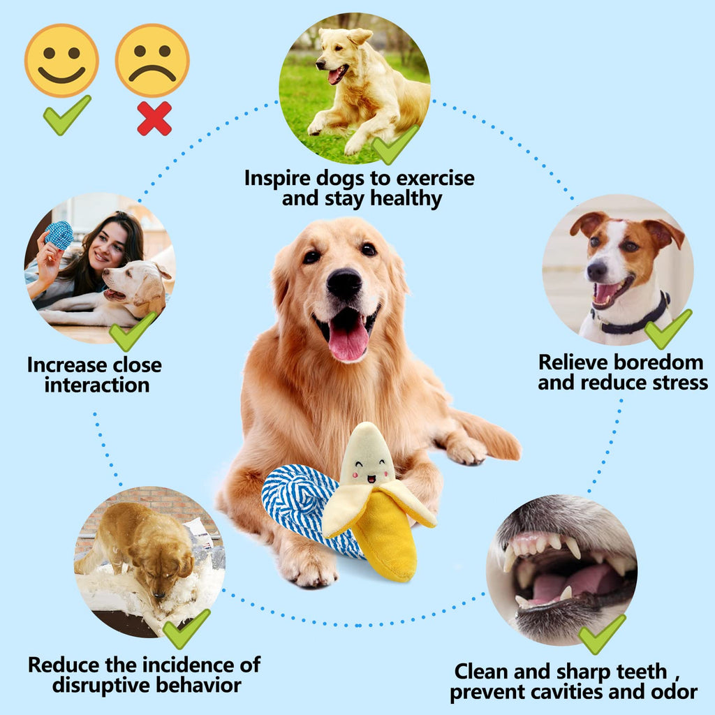 Toys for Dogs, Interactive Toys Set of 15 Pieces Toy for Dogs, Ecological, Safe and Durable Dog Toy, Can Be Used to Clean the Teeth of Dogs