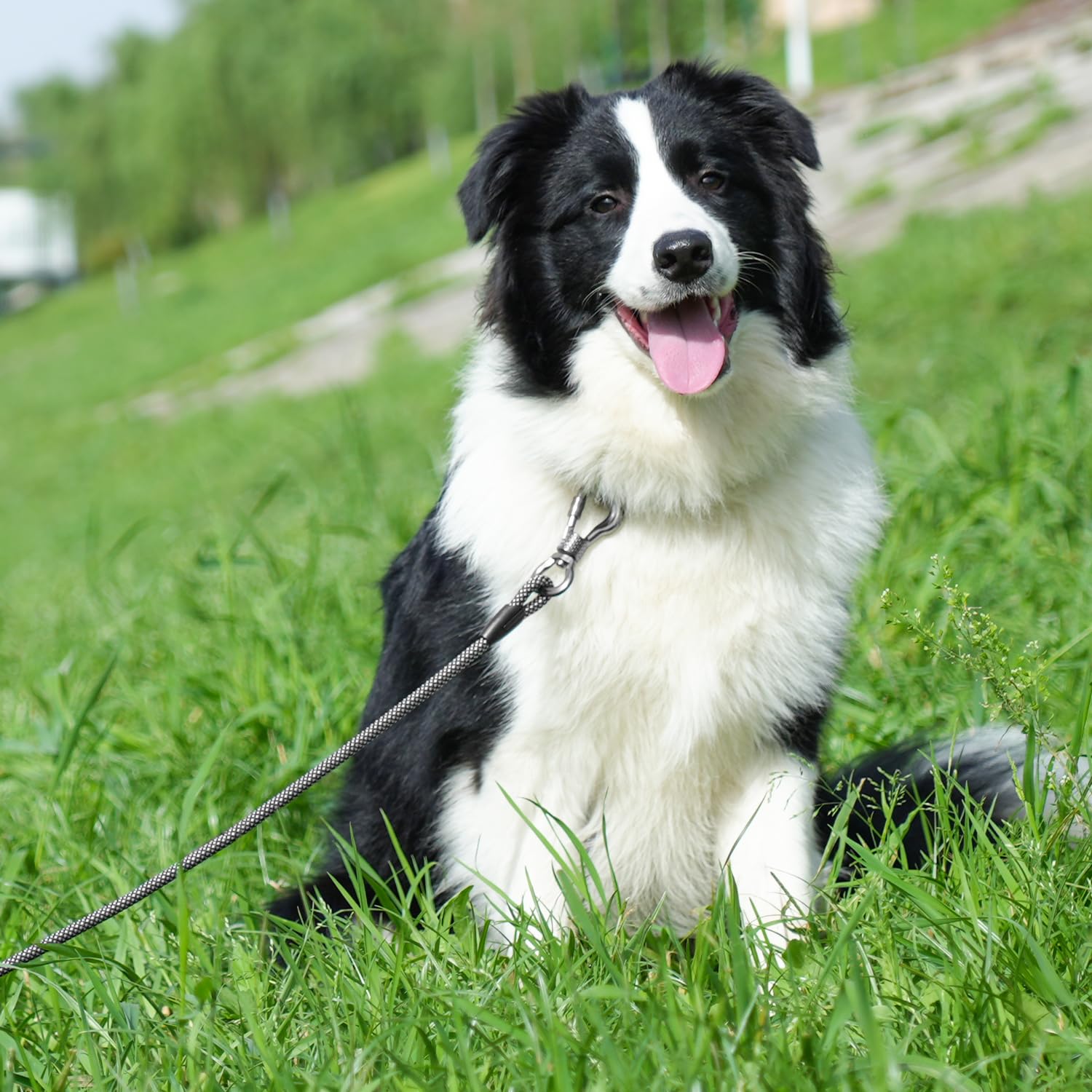 X XBEN Dog Training Lead, 1.5 m, 3 m, 5 m, 6 m, 10 m, 15 m, 20 m, 25 m, 30 m, Long Dog Leash with Lockable Hook, Training Leash for Large and Small Dogs, Reflective and Durable