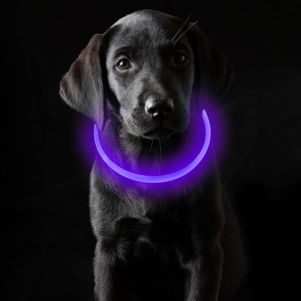 Coolzon Rechargeable and Waterproof Luminous Dog Collar with 3 Light Modes, Adjustable Length LED Collars for Dogs Cats Small Medium Large, Red