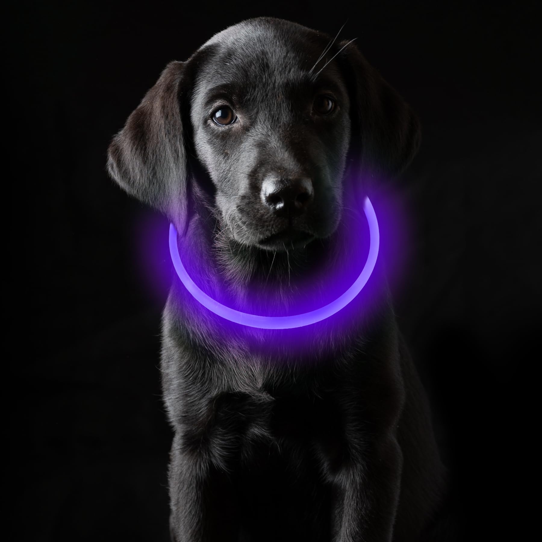 Coolzon Rechargeable and Waterproof Luminous Dog Collar with 3 Light Modes, Adjustable Length LED Collars for Dogs Cats Small Medium Large, Red