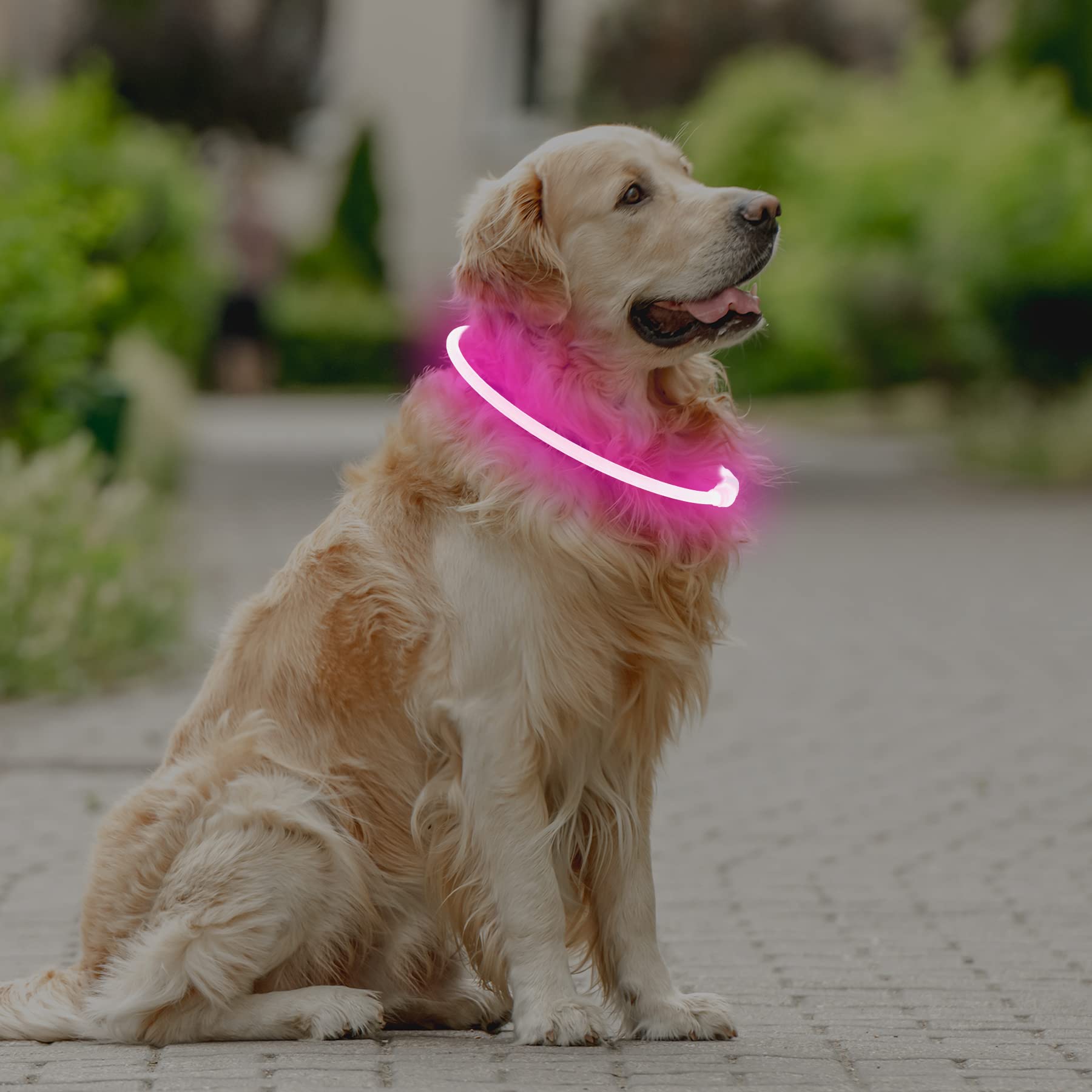 Coolzon Rechargeable and Waterproof Luminous Dog Collar with 3 Light Modes, Adjustable Length LED Collars for Dogs Cats Small Medium Large, Red