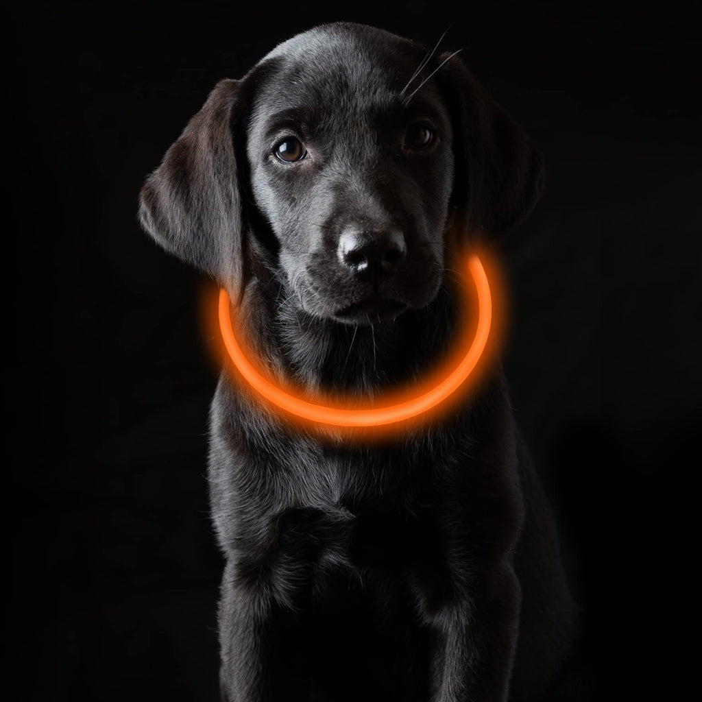 Coolzon Rechargeable and Waterproof Luminous Dog Collar with 3 Light Modes, Adjustable Length LED Collars for Dogs Cats Small Medium Large, Red