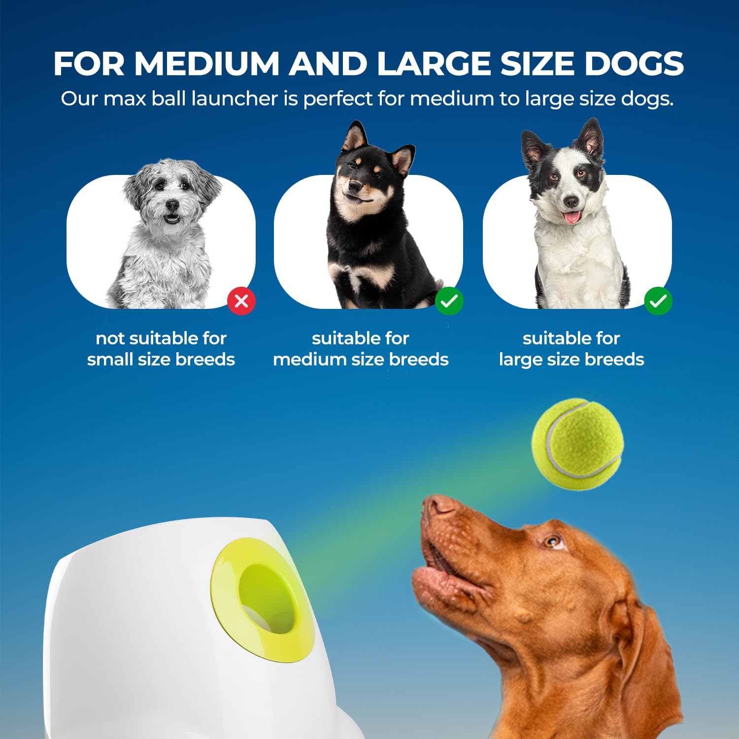 ALL FOR PAWS Automatic Ball Launcher for Dogs - Interactive Ball Throwing Machine with 3 2" Tennis Balls Included, for Small and Medium Dogs, Interactive Dog Toy