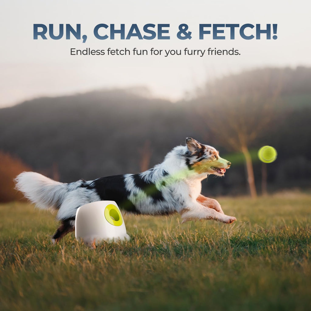 ALL FOR PAWS Automatic Ball Launcher for Dogs - Interactive Ball Throwing Machine with 3 2" Tennis Balls Included, for Small and Medium Dogs, Interactive Dog Toy