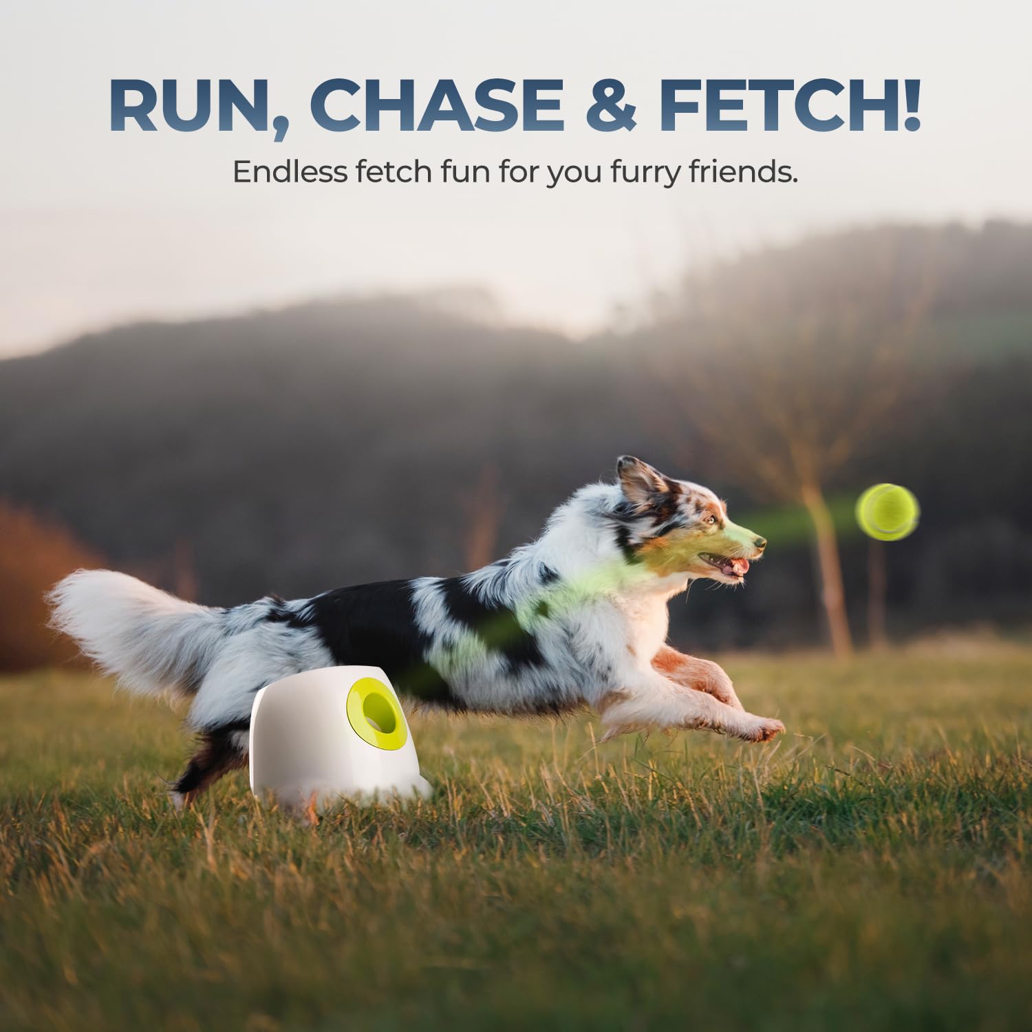 ALL FOR PAWS Automatic Ball Launcher for Dogs - Interactive Ball Throwing Machine with 3 2" Tennis Balls Included, for Small and Medium Dogs, Interactive Dog Toy