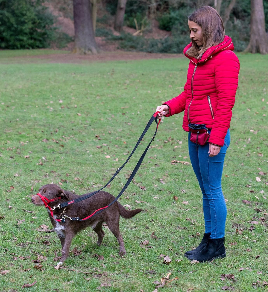 HALTI Control Leash – Multifunction Leash with Double Hook and Two Handles, Ideal for Anti-Pull Dog Training, Comfortable to Hold, Suitable for Dogs and Puppies (2 Metres)