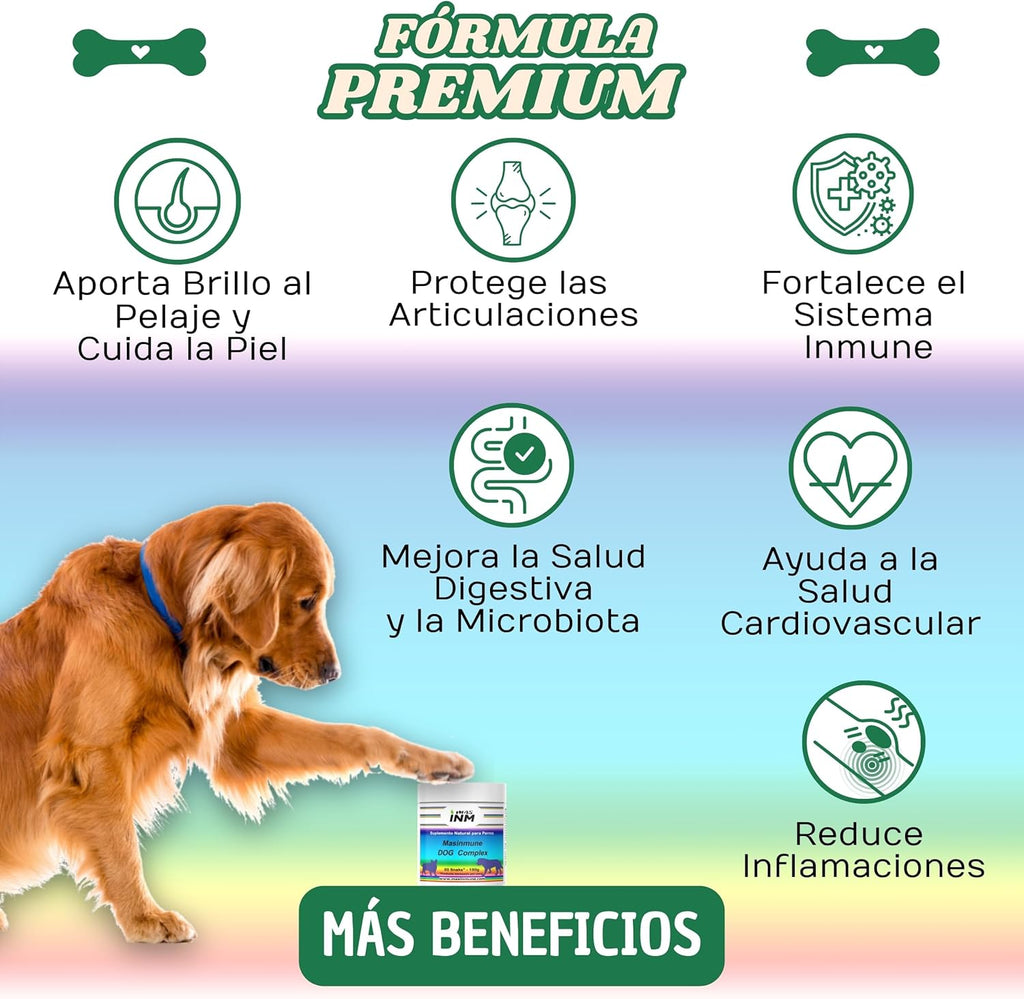 Masimmune Dog Complex - Chondroprotector Dogs - Joint Support and Immune System - Glucosamine Chondroitin Dogs - MSM - Omega 3 - 60 Chewable Snacks.