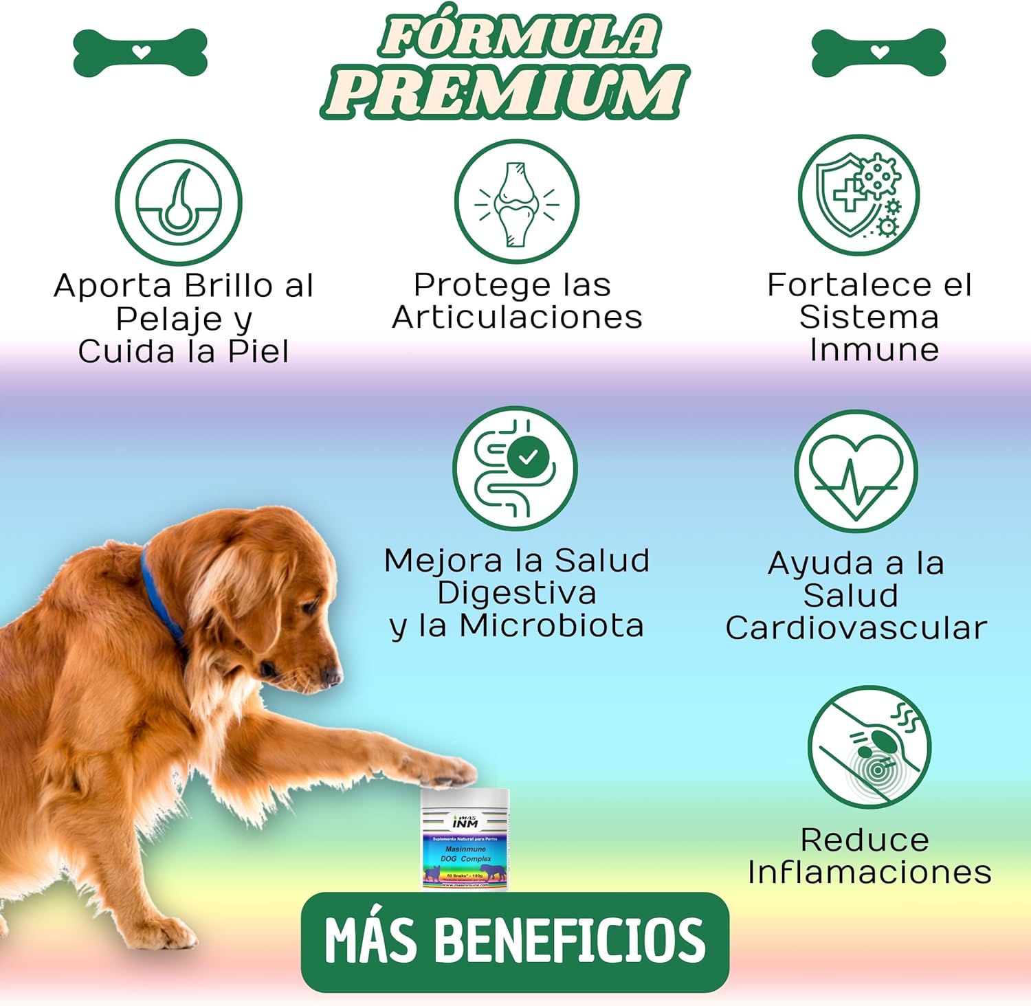 Masimmune Dog Complex - Chondroprotector Dogs - Joint Support and Immune System - Glucosamine Chondroitin Dogs - MSM - Omega 3 - 60 Chewable Snacks.