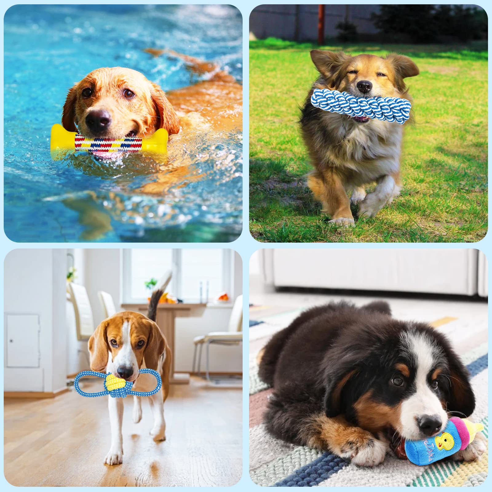 Toys for Dogs, Interactive Toys Set of 15 Pieces Toy for Dogs, Ecological, Safe and Durable Dog Toy, Can Be Used to Clean the Teeth of Dogs