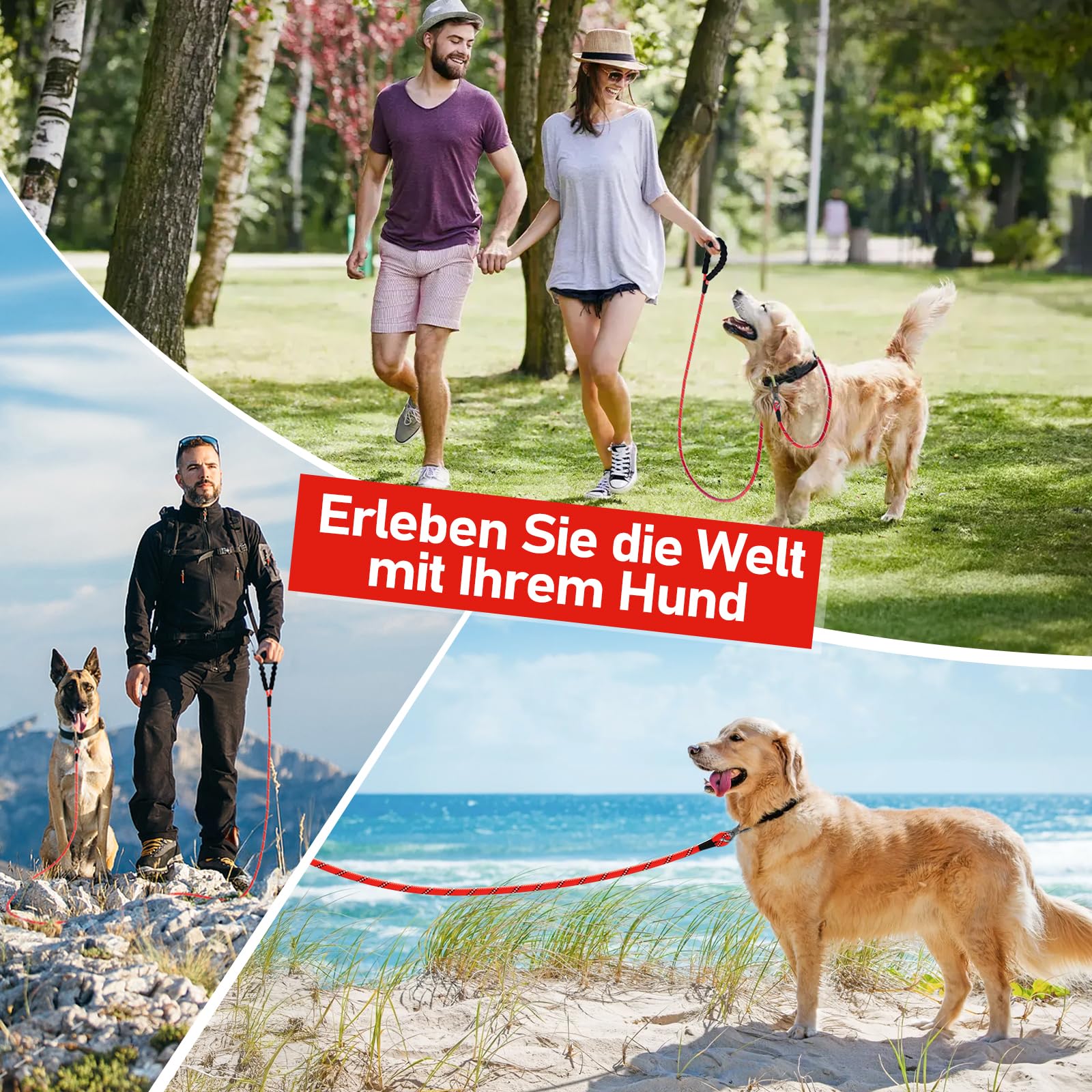 X XBEN Dog Training Lead, 1.5 m, 3 m, 5 m, 6 m, 10 m, 15 m, 20 m, 25 m, 30 m, Long Dog Leash with Lockable Hook, Training Leash for Large and Small Dogs, Reflective and Durable