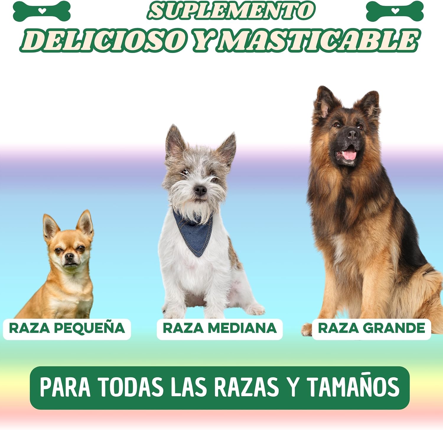 Masimmune Dog Complex - Chondroprotector Dogs - Joint Support and Immune System - Glucosamine Chondroitin Dogs - MSM - Omega 3 - 60 Chewable Snacks.