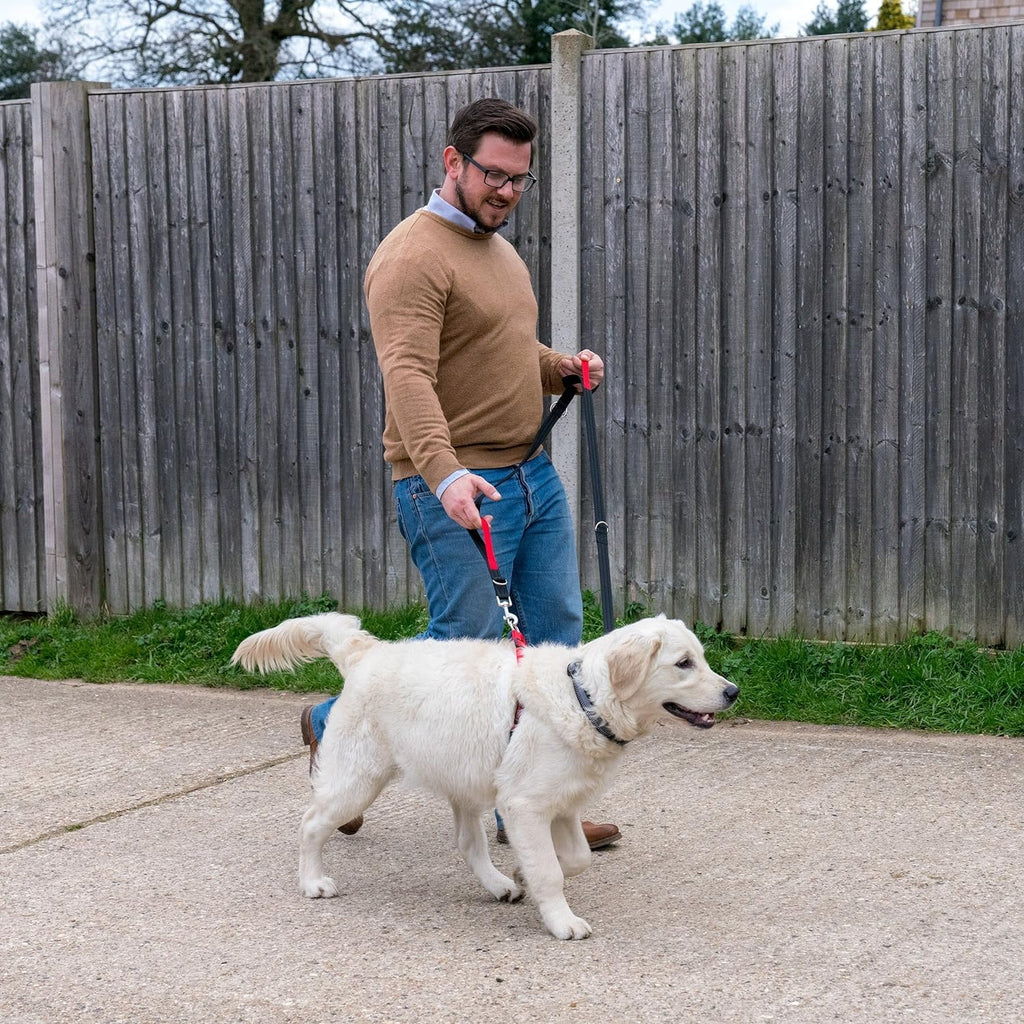 HALTI Control Leash – Multifunction Leash with Double Hook and Two Handles, Ideal for Anti-Pull Dog Training, Comfortable to Hold, Suitable for Dogs and Puppies (2 Metres)
