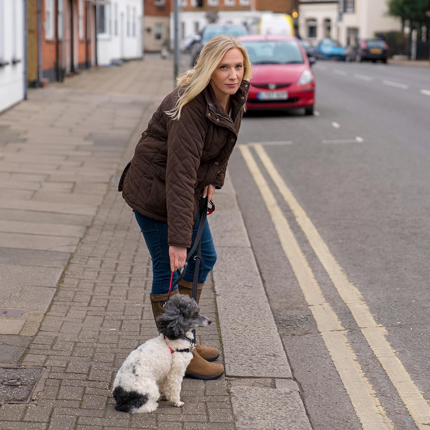 HALTI Control Leash – Multifunction Leash with Double Hook and Two Handles, Ideal for Anti-Pull Dog Training, Comfortable to Hold, Suitable for Dogs and Puppies (2 Metres)