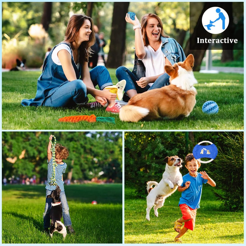 Toys for Dogs, Interactive Toys Set of 15 Pieces Toy for Dogs, Ecological, Safe and Durable Dog Toy, Can Be Used to Clean the Teeth of Dogs