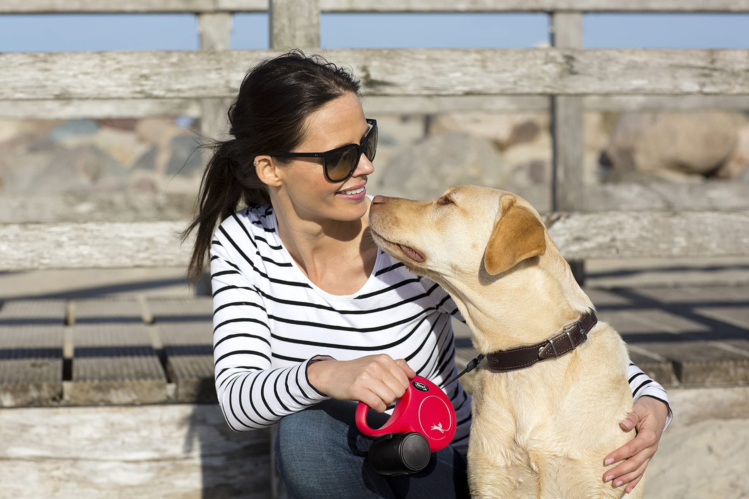 Trixie Flexi New Classic Roll Up Tape for Dog