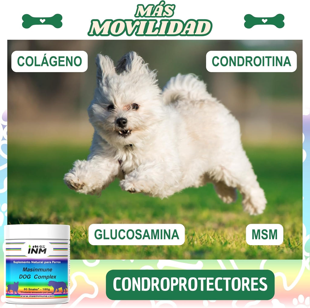 Masimmune Dog Complex - Chondroprotector Dogs - Joint Support and Immune System - Glucosamine Chondroitin Dogs - MSM - Omega 3 - 60 Chewable Snacks.