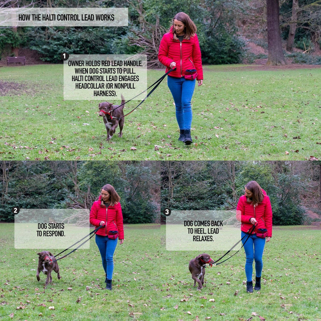 HALTI Control Leash – Multifunction Leash with Double Hook and Two Handles, Ideal for Anti-Pull Dog Training, Comfortable to Hold, Suitable for Dogs and Puppies (2 Metres)